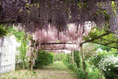 Secret Garden of the Soul Secret Garden of the Soul