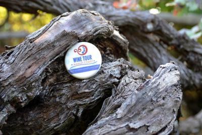 Family or friends Transportation Service for the Experiences