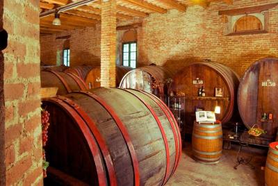Wine Tour and Tasting at Le Marche Wine Tour and Tasting at Le Marche's Oldest Wine Estate