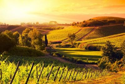 Ramble Through The Rolling Hills Of Chianti (6 Hrs) + Lunch & Wine Tasting Ramble Through The Rolling Hills Of Chianti (6 Hrs) + Lunch & Wine Tasting