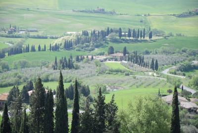 Poetic Valdorcia Poetic Valdorcia