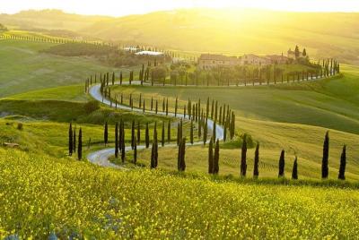 Savour Exquisite Wines, Brunello of Montalcino & Nobile Wine Tour (3 Wineries) Savour Exquisite Wines, Brunello of Montalcino & Nobile Wine Tour (3 Wineries)