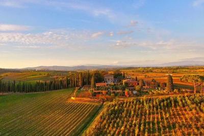 Arezzo: Wine Tasting Experience in Valdichiana area Arezzo: Wine Tasting Experience in Valdichiana area
