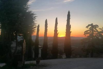 Brunello Wine Tour and Val D Brunello Wine Tour and Val D'Orcia Landscape