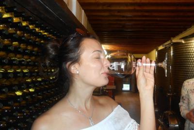 winery santo stefano tasting 5 types of wines directly in cellar winery santo stefano tasting 5 types of wines directly in cellar