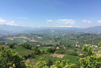 Marche wine day tour from Ascoli Piceno