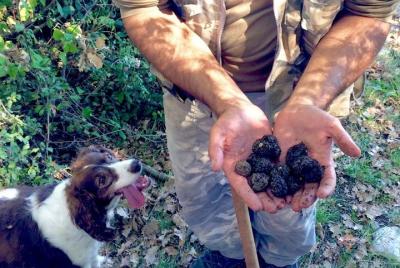 The Real Truffle Hunting in Abruzzo The Real Truffle Hunting in Abruzzo