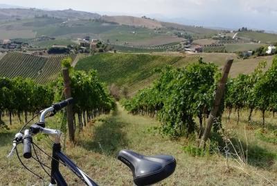Biking through hill villages, wine and tipical local foods tours