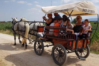 In Carrozza in the places where St. Francis preached to the birds