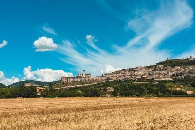 Assisi Treasures And St Francis Wood Assisi Treasures And St Francis Wood
