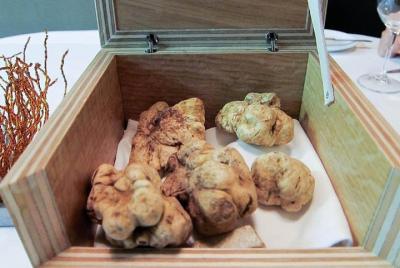 Asti Truffle Hunting Experience Tour