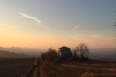 Tasting and visit to the cellar in the heart of Monferrato