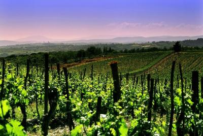 Private Tour to a winery in Franciacorta and Bergamo from Milan w Private Tour to a winery in Franciacorta and Bergamo from Milan w