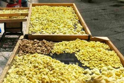 Bari Street food walking tour * private tour *