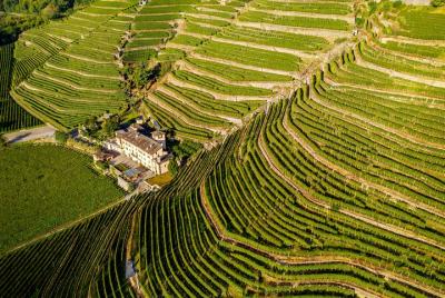 Lake Como & UNESCO Dry-stone Walls Vineyards Lake Como & UNESCO Dry-stone Walls Vineyards