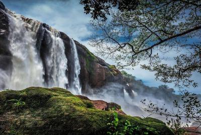 Athirappilly & Vazhachal Waterfalls Private Day Tour from Kochi Athirappilly & Vazhachal Waterfalls Private Day Tour from Kochi