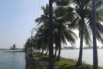 Kochi Village Life Experience tour - The Real Tour of Kochi ! Kochi Village Life Experience tour - The Real Tour of Kochi !