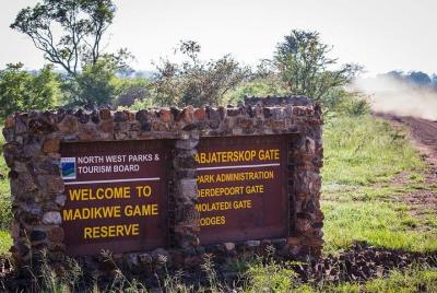 Madikwe Game Reserve Day Tour Madikwe Game Reserve Day Tour