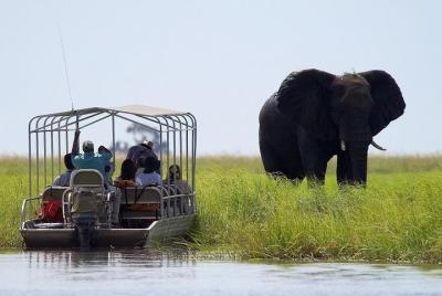 12 Days Botswana With Victoria Falls 12 Days Botswana With Victoria Falls