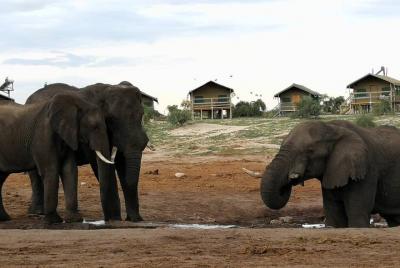 Johannesburg or Gaborone to Victoria Falls 10 Day ACROSS BOTSWANA Johannesburg or Gaborone to Victoria Falls 10 Day ACROSS BOTSWANA