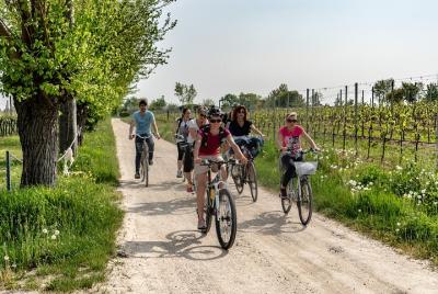 Tour relax and discover Tour relax and discover