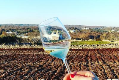 Wine Experience: vineyard, wines and food Wine Experience: vineyard, wines and food