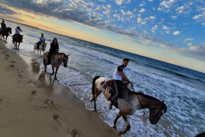 Horse ride of 2 hours in the Coastal Dunes Park Horse ride of 2 hours in the Coastal Dunes Park