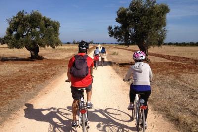 Puglia Bike Tour: Cycling Through the History of Extra Virgin Oli Puglia Bike Tour: Cycling Through the History of Extra Virgin Oli