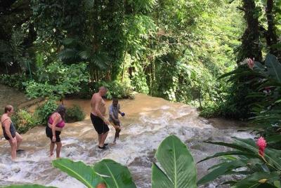 Shared Konoko Falls and Tropical Garden Tour from Runaway Bay Shared Konoko Falls and Tropical Garden Tour from Runaway Bay