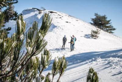 Winter Etna Classic Experience Winter Etna Classic Experience