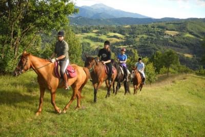 Private Horseback Riding Tour in Sicilian Countryside with Lunch at a historic Farmhouse Private Horseback Riding Tour in Sicilian Countryside with Lunch at a historic Farmhouse