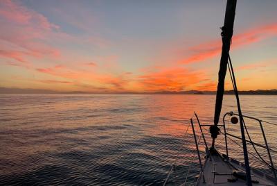 Sunset Sailing and Dolphin Watching in Marbella
