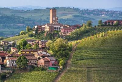 Full-Day Private Langhe Tour with Wine Tasting from Milan