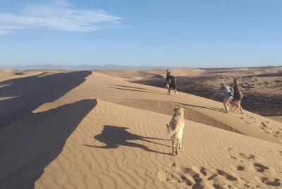 Desert Trip by Jeep 1 day