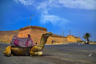Agadir City Tour, Croco park, and Massage Hamam (Pack) Agadir City Tour, Croco park, and Massage Hamam (Pack)