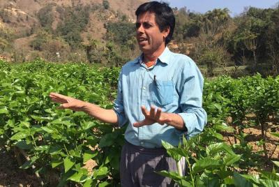 Silkworm Farm (Sericulture) Day Visit With Easy Hiking In Pokhara Silkworm Farm (Sericulture) Day Visit With Easy Hiking In Pokhara