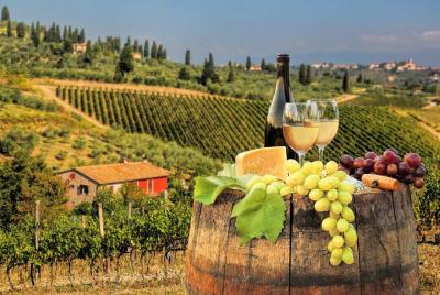 Chianti Half day Wine tour from Florence Chianti Half day Wine tour from Florence