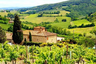 Florence to Greve in Chianti Tour with Wine Tasting Experience Florence to Greve in Chianti Tour with Wine Tasting Experience
