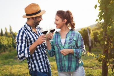 Small-Group Wine Tasting Experience in The Chianti Countryside