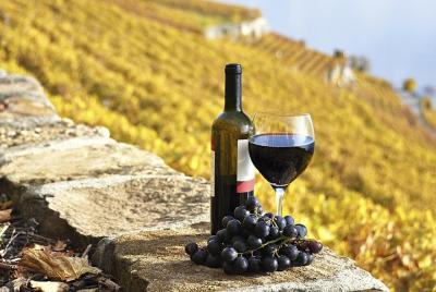 Best of Chianti Colours and Flavors