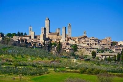 Private Tuscany Day Tour: San Gimignano and Chianti Wine Region from Florence