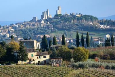 Private Tuscany Day Tour: San Gimignano and Chianti Wine Region f
