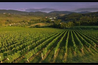 Pure tuscan wine tasting experience at Podere Ema close to Florence Pure tuscan wine tasting experience at Podere Ema close to Florence