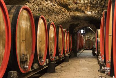 Tour of 900year old secret cellars + tasting of 3 wines and bread with EVO oil Tour of 900year old secret cellars + tasting of 3 wines and bread with EVO oil