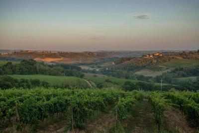 Country picnic in the heart of Chianti Country picnic in the heart of Chianti