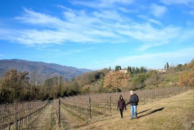 Hike & Chianti Wine Tour Hike & Chianti Wine Tour