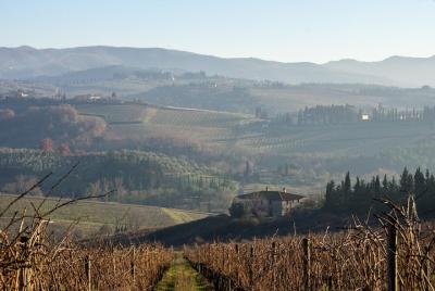 We meet the Medici ... in the countryside! We meet the Medici ... in the countryside!