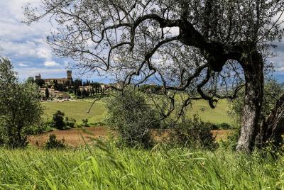 Ring of Chianti Classico E-bike tour Ring of Chianti Classico E-bike tour