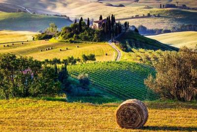 Organic Tour in Tuscany - 6 days tour - Honeymoon Organic Tour in Tuscany - 6 days tour - Honeymoon