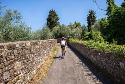 Tuscan Country Bike Tour from Florence, Including Wine and Olive Oil Tastings Tuscan Country Bike Tour from Florence, Including Wine and Olive Oil Tastings